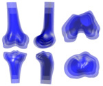 Anatomical Variation in the Knee: A Dataset of 3D Bone Models and Statistical Shape Models by Gabrielle Kindy, Ola Alsaadi, and Peter J. Laz